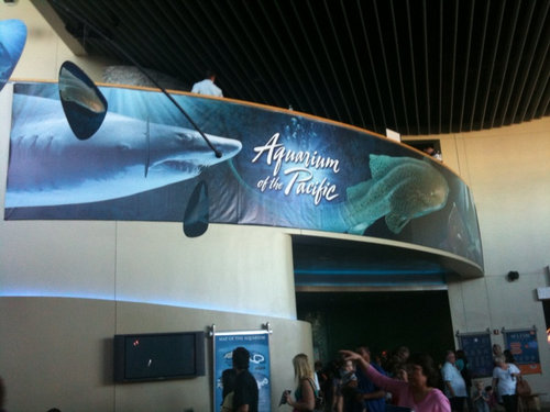 Aquarium of the Pacific 1
