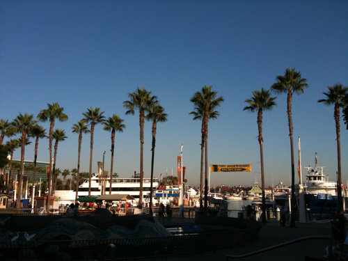 Rainbow Harbor 1