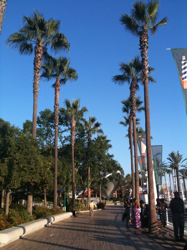 Rainbow Harbor 4