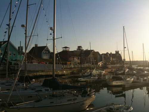 Rainbow Harbor 7