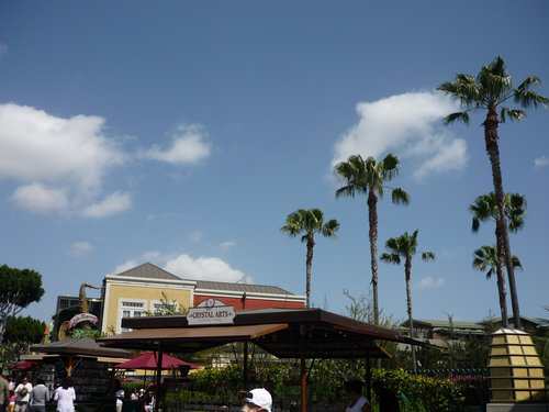 Disney Land
