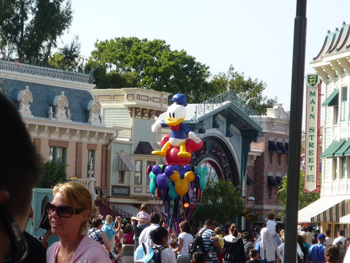 Disney Land