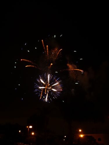 アメリカ独立記念日・花火2