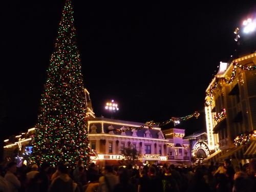 ディズニーランド クリスマスツリー