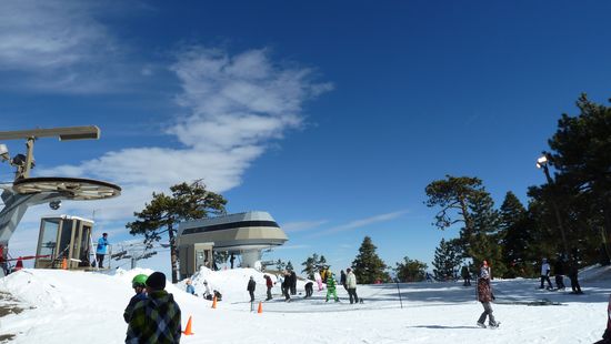 Wrightwood のクリスマス 1