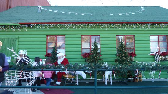 Wrightwood のクリスマス 5