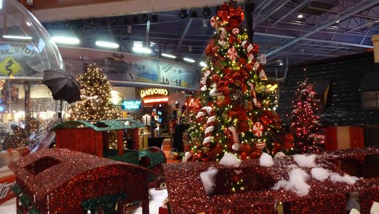 Wrightwood のクリスマス 7