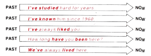 Present perfect simple 1